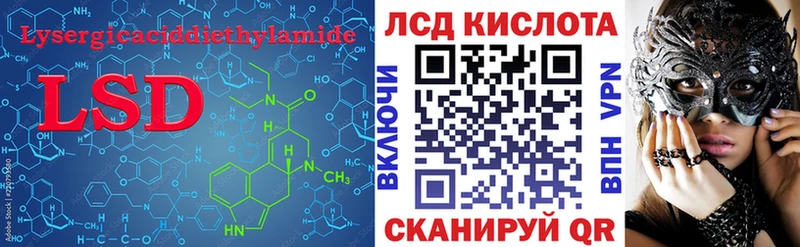 как найти наркотики  Кедровый  LSD-25 экстази кислота 